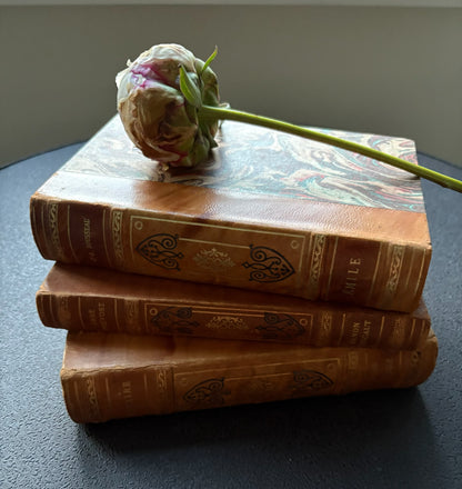 Set of Voltaire Books
