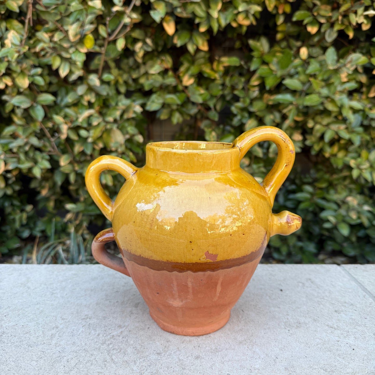 Early 20th c. Petit Confit Pot