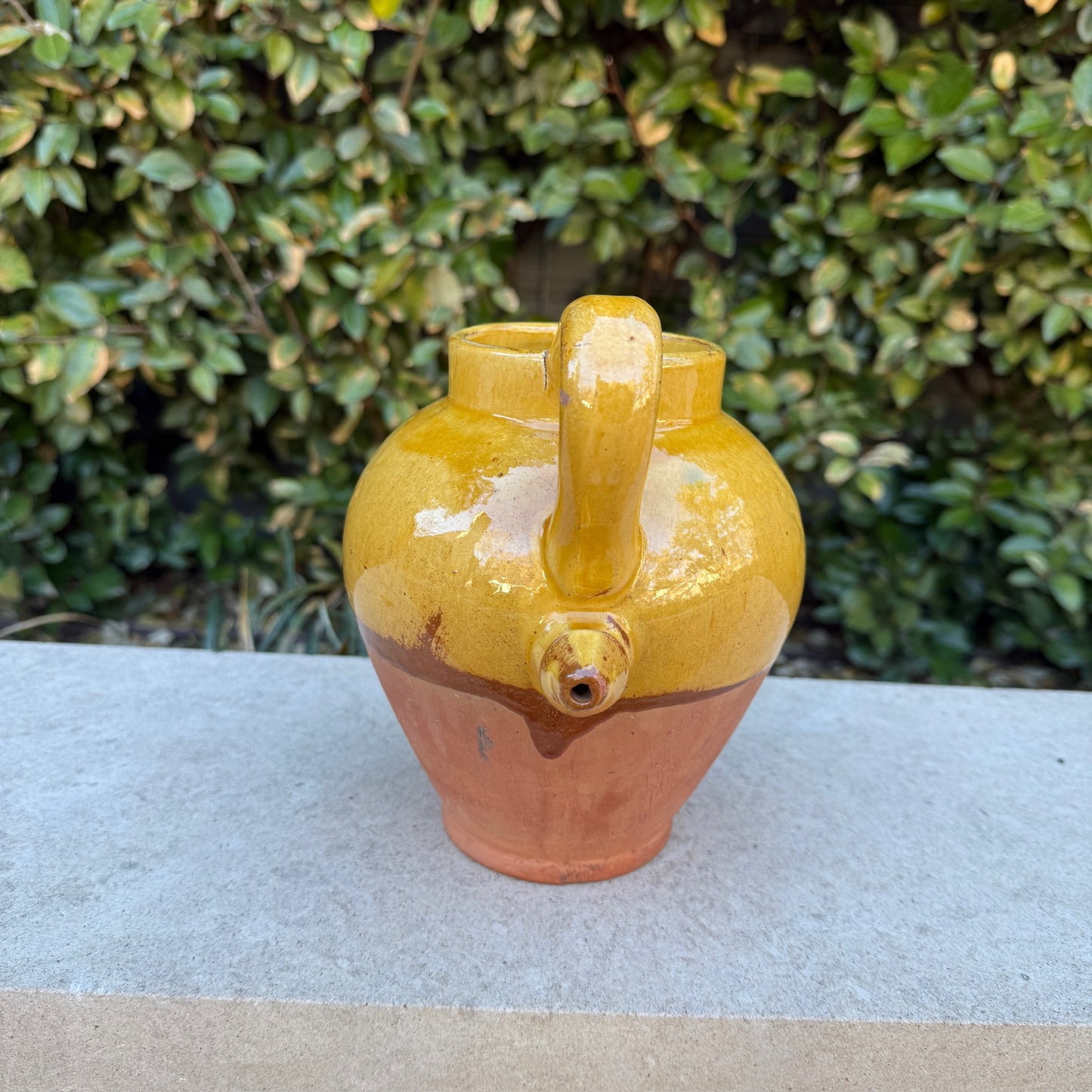 Early 20th c. Petit Confit Pot