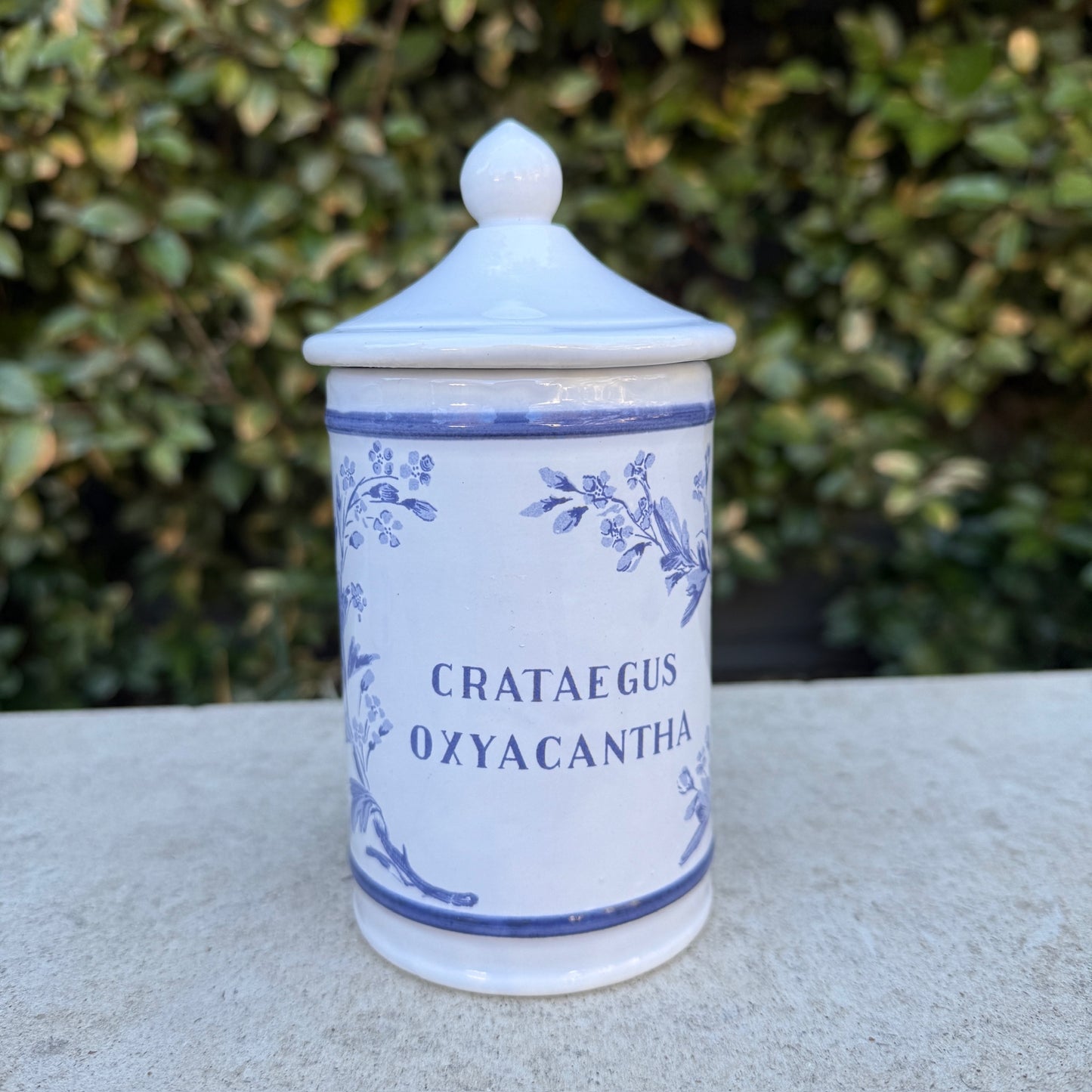 Vintage Longchamp Apothecary Jar