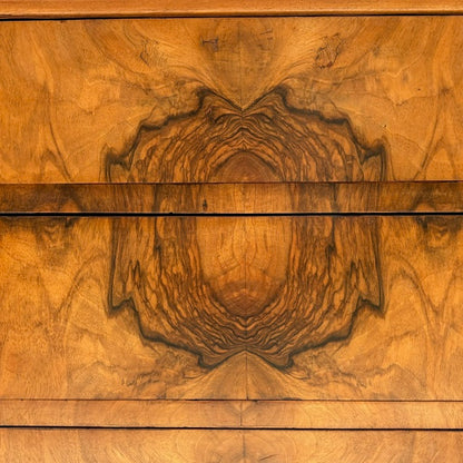 Narrow Burled Wood Louis Philippe Commode with Gold Hardware