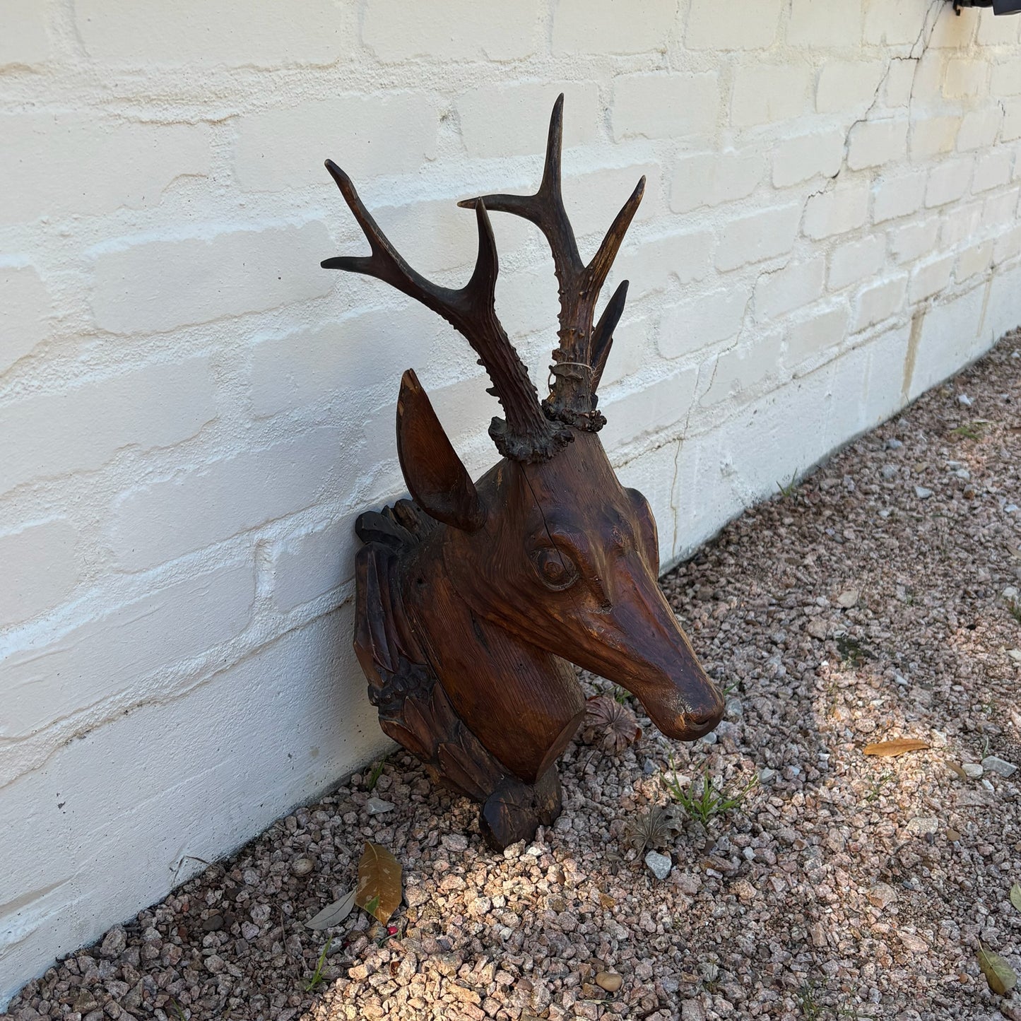 Hand-Carved Roe Deer Mounted Bust