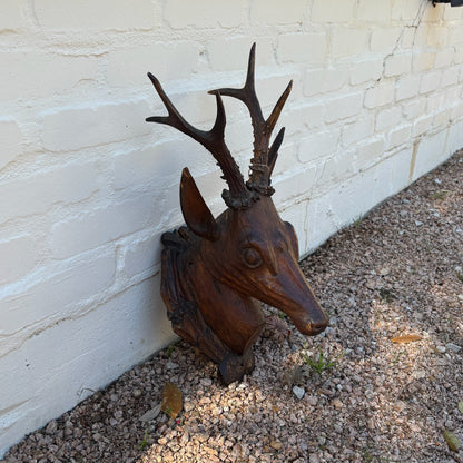 Hand-Carved Roe Deer Mounted Bust