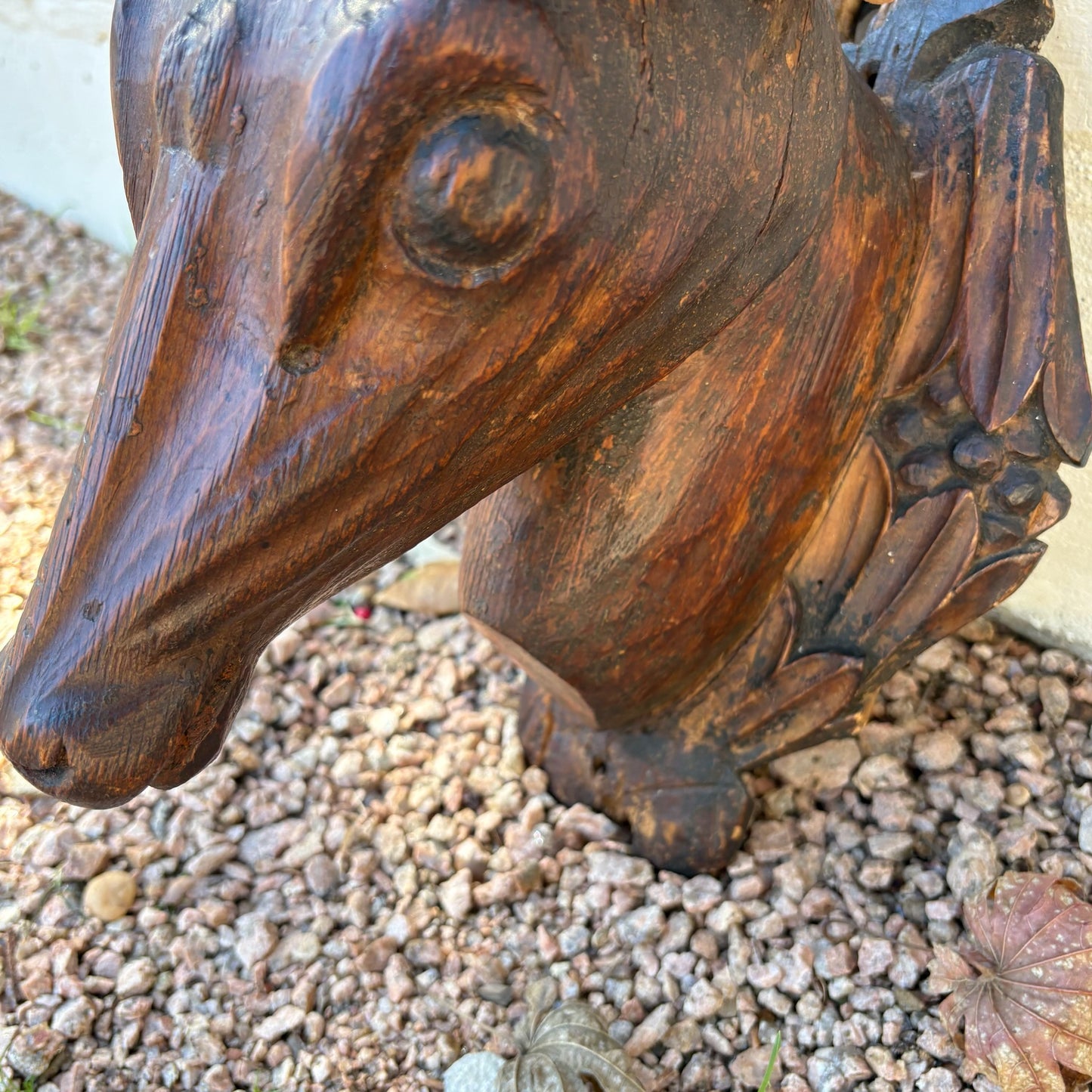 Hand-Carved Roe Deer Mounted Bust